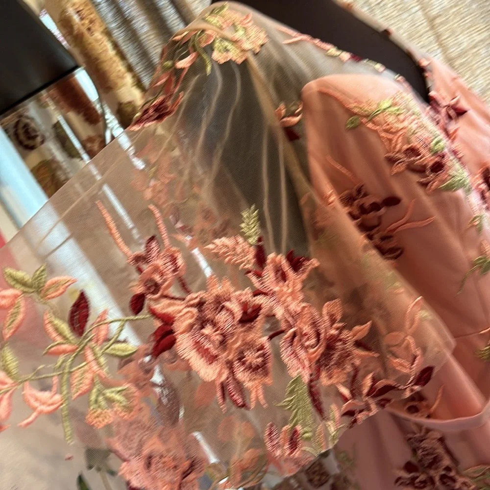 NWDT J.J.’s House, romantic pink embroidered special occasion dress. Size 2X. - Picture 7 of 16